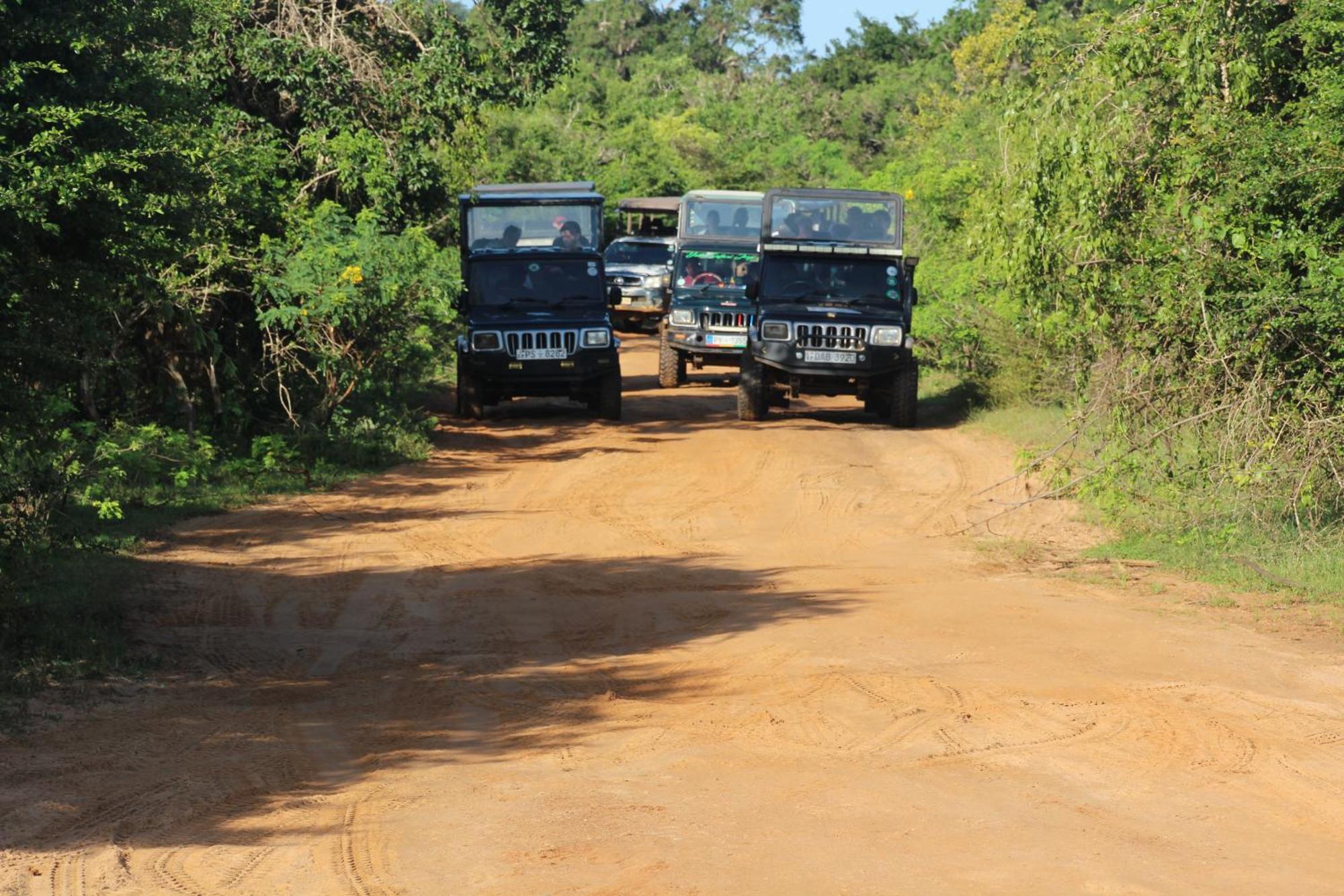Вілла Udara Guest - Yala Safari Екстер'єр фото